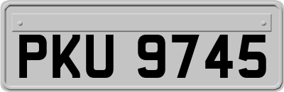 PKU9745
