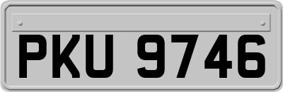 PKU9746
