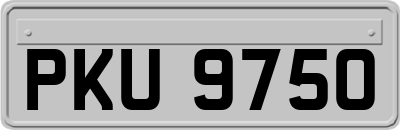 PKU9750