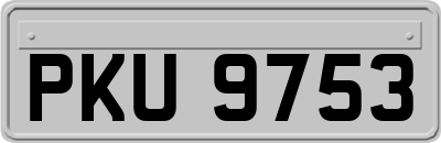 PKU9753