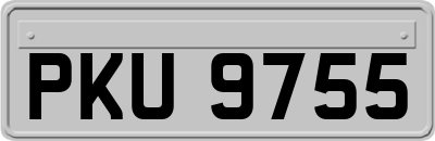 PKU9755