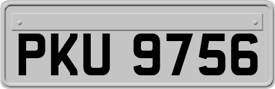 PKU9756