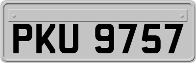 PKU9757