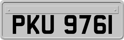 PKU9761