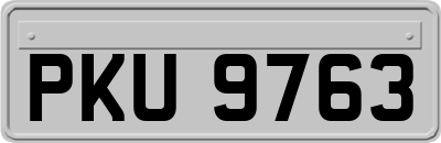 PKU9763