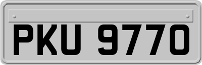 PKU9770