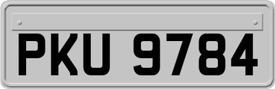 PKU9784