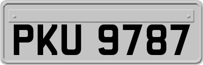 PKU9787