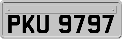 PKU9797