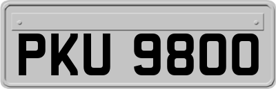PKU9800