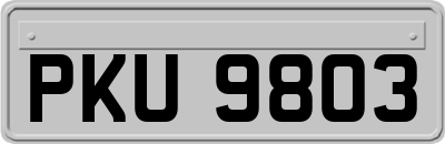PKU9803