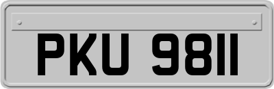 PKU9811