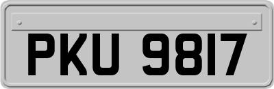 PKU9817