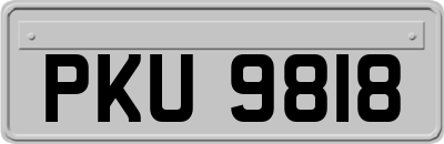 PKU9818