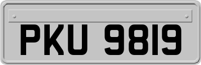 PKU9819
