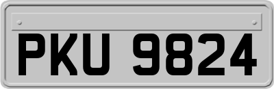 PKU9824