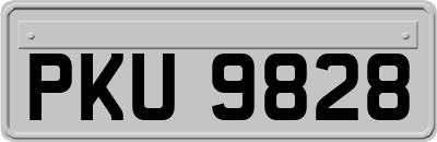 PKU9828