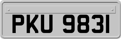 PKU9831