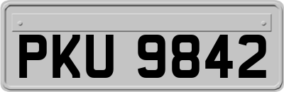 PKU9842