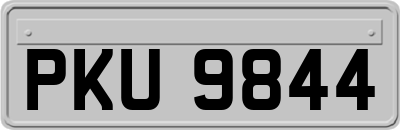 PKU9844