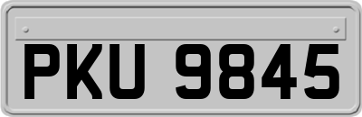 PKU9845