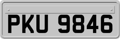 PKU9846