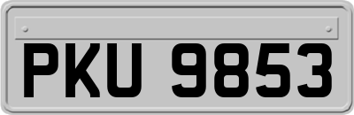 PKU9853