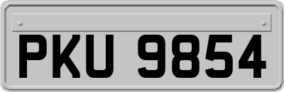 PKU9854