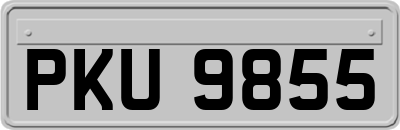 PKU9855