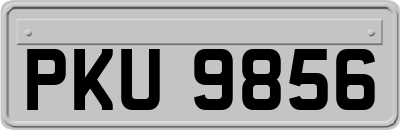 PKU9856