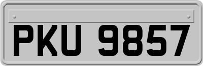 PKU9857