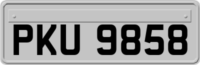 PKU9858