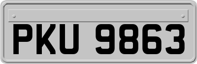 PKU9863