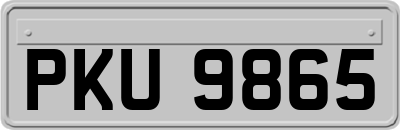 PKU9865