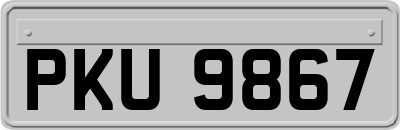 PKU9867