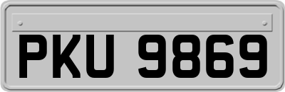 PKU9869