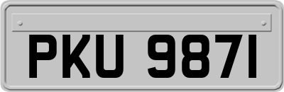 PKU9871