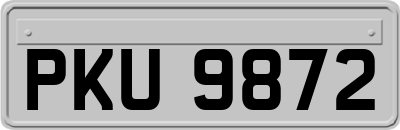 PKU9872