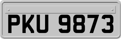 PKU9873
