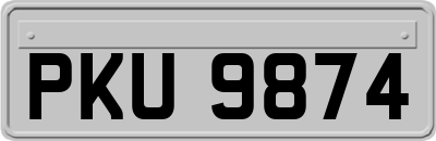 PKU9874