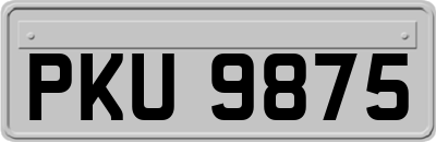 PKU9875