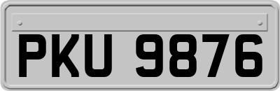 PKU9876