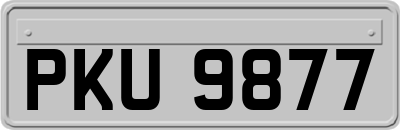 PKU9877