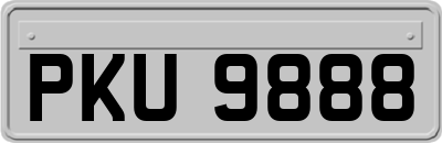 PKU9888