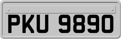PKU9890