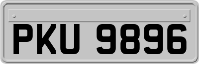 PKU9896