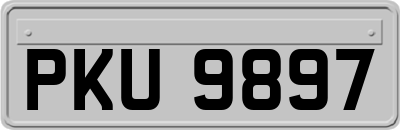 PKU9897