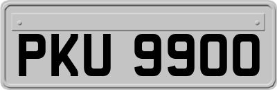 PKU9900