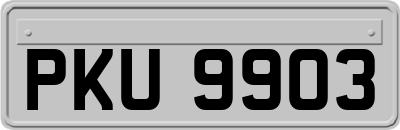 PKU9903