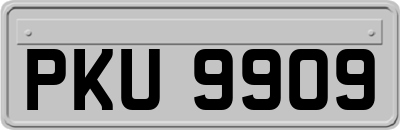 PKU9909